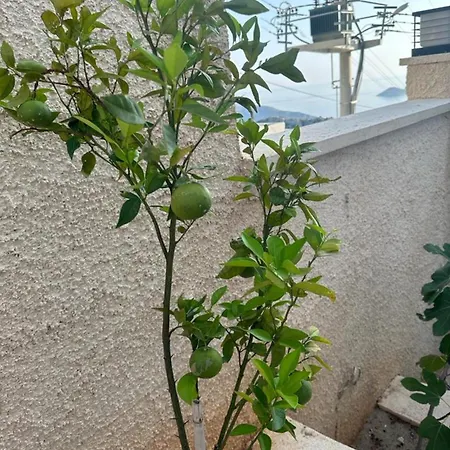 Kalkan Royal Honeymoon * 卡斯